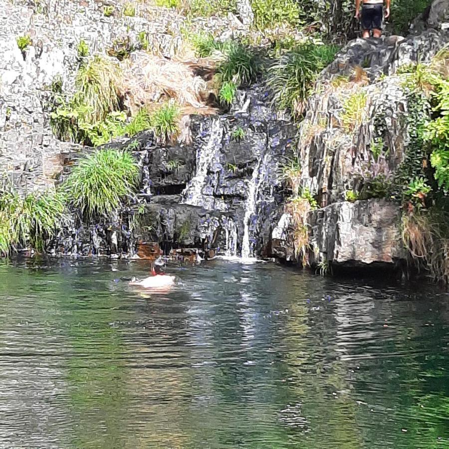 Casinhas Da Eira Caramulo Turismo Rural Arca Dış mekan fotoğraf