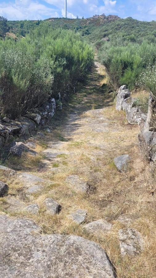 Casinhas Da Eira Caramulo Turismo Rural Arca Dış mekan fotoğraf